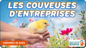 Les couveuses d'entreprises