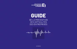 Guide de la Prévention des Difficultés des entreprises