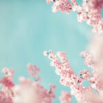 Newsletter Avril 2025