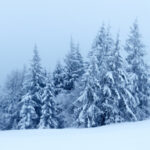 Newsletter Janvier Février 2026